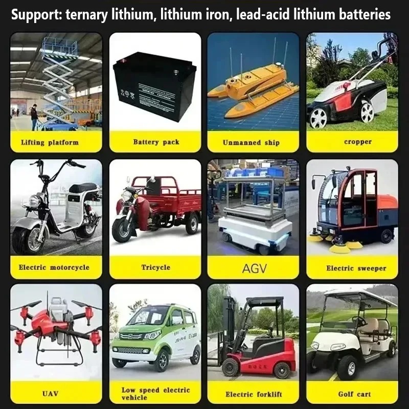48V 60V 72V 30A Intelligentie  - 84V 20A Smart Charger recensie en prijs