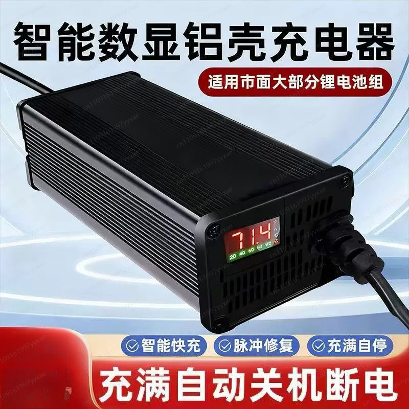 48V 60V 72V Smart LiFePO4 Li-i - 72V 15A Fast Charger recensie en prijs