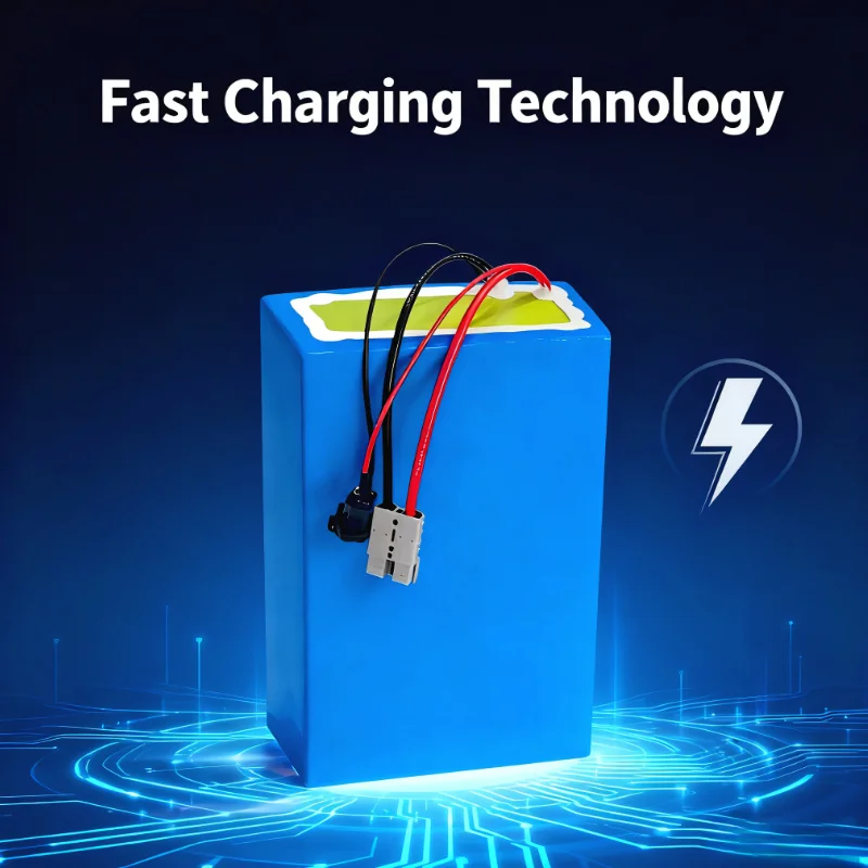 BMS 72V lithium-ionbatterij 20 - 72V 40Ah Lifepo4 Battery Pack recensie en prijs
