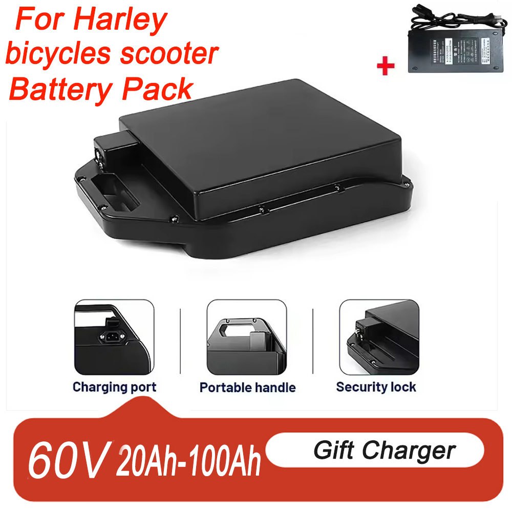Lithiumbatterij voor elektrisc - 60V 50Ah Electric Scooter Battery recensie en prijs