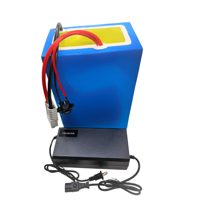 72V 100Ah Li ion Met LaderInge - 72V 40Ah Lifepo4 Battery Pack recensie en prijs